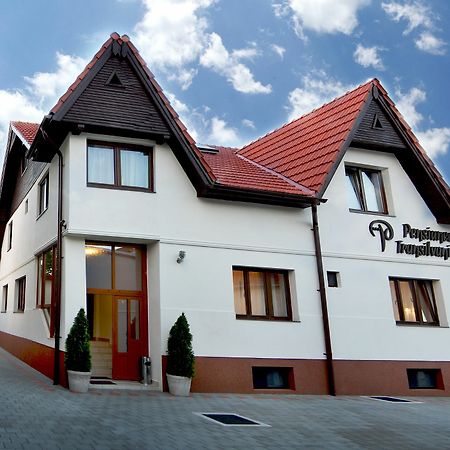 Pensiunea Transilvania Sibiu Exterior foto