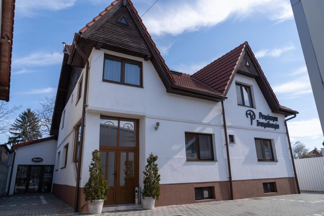 Pensiunea Transilvania Sibiu Exterior foto